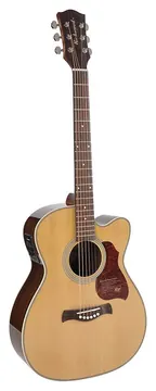 Richwood Master Series A-65-CEVA handmade auditorium OOO guitar