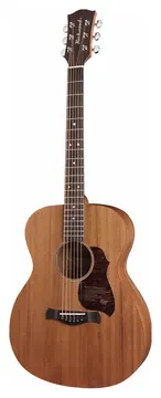 Richwood Master Series A-50 handmade auditorium OOO guitar