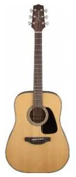 Takamine GD10