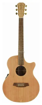 Cole Clark Angel AN2EC-RDBL-AE - Westerngitarre mit Pickup *Showroom-Modell*