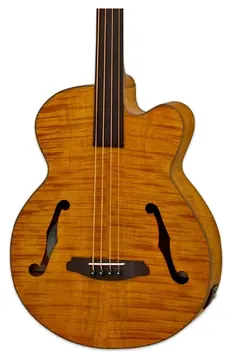 Aria FEBF2 Electro Acoustic Fretless Bass Guitar Stained Brown