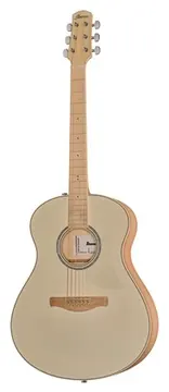Ibanez AAM370M2E-APF
