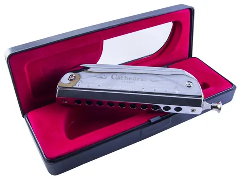 Gaita Orleans Cathedral Profissional Com Estojo