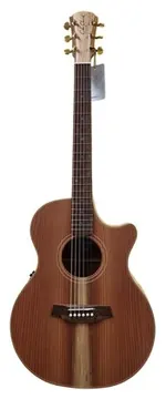 Cole Clark AN2EC-RDBL (AE)