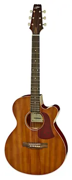 Aria Maikai Aria FET-R1 Electro Acoustic Guitar
