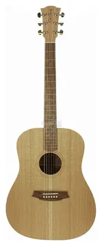 Cole Clark FL1-SSO