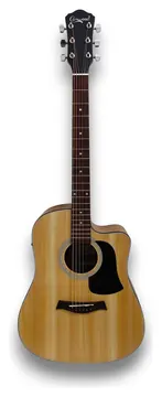 Camwood IW-240 MNS CWE Acustica Elettrificata