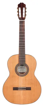 Kremona F65C