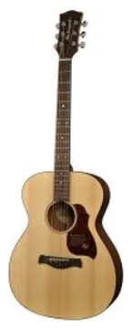 Richwood Master Series Handmade Auditorium OOO Acoustic guitar, A-20