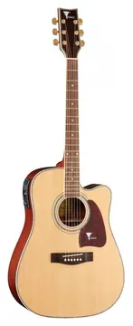 Eagle CH889 NT Folk