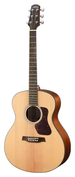 Walden WAG550E Westerngitarre