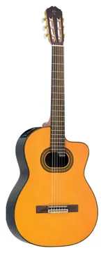 Takamine GC6CE & TP-4T Natural