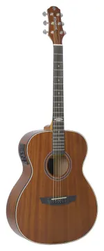 Strinberg SO200 MGS Orquestral Fosco