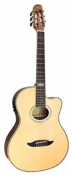 Giannini Flat Cutaway Nylon Gnf3 Ceq Ns Giannini