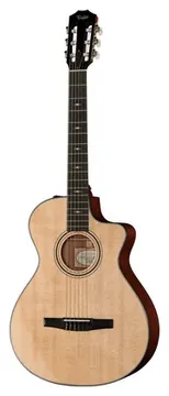 Taylor 312ce-N Nylon