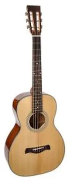 Richwood P-40 Master Series Handmade Parlor Guitar