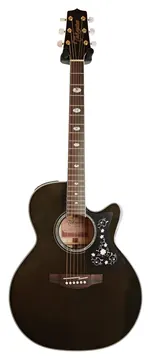 Takamine GN75CETBK