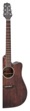 Takamine GD21CE Satin Molasses