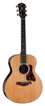 Taylor Gold Label 714E Chitarra Acustica elettrificata con custodia