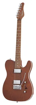 Schecter Pt Van Nuys Signature Hochglanz Natur