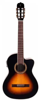 Tagima Spruce Black Walnut WS10DSB - Tagima