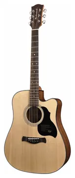 Richwood D40Ce Westerngitaar met Element