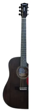 Waldman DCEX-441 Eletroacústico Cordas Aço Cor Preto (BK)