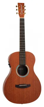 Tanglewood Elemental TE8EBL
