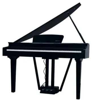 Echord GP-10B Pianoforte coda digitale nero