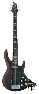 Phoenix Contrabaixo PHX TOP V BS-5G Ativo Sapele