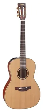 Takamine P3NY2