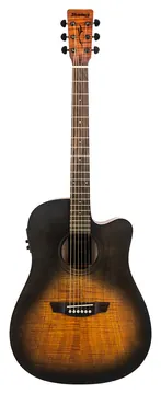 Strinberg FS4D FOB Forest Ocean Burst Forest Series Eletroacústico