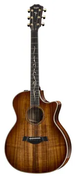 Taylor K24ce V-Class Bracing