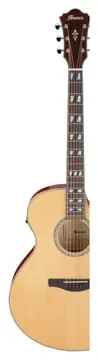Ibanez AE170-NTR Serie AE NTR Natural High Gloss top Transparent Red High Gloss Back and Sides
