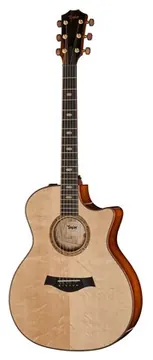 Taylor Custom #36: The Bengal