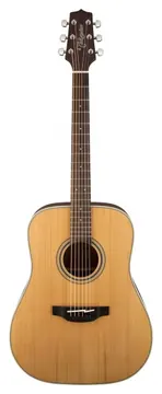 Takamine GD20-NS