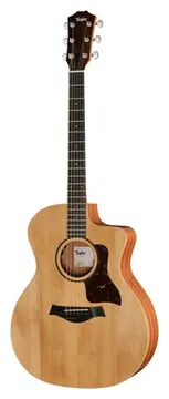 Taylor 14ce