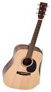 Ditson by Sigma D-10 Dreadnought Akustik-Gitarre