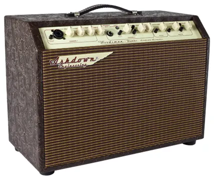 Ashdown WOODSMAN-JUMBO Combo Chitarra Acustica 65W 2X8