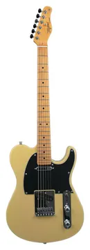 Tagima Woodstock TW-55
