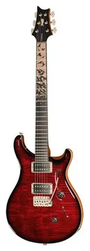 PRS Birds Of A Feather Custom 24 B
