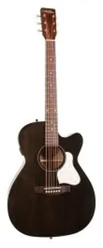 Art&Lutherie Legacy Faded black cw Presys II