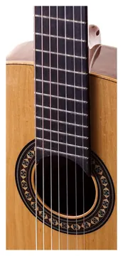 Rozini Fosco RX207 ACFI Imbuia