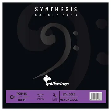 Galli Synthesis BSN-910 3/4 scale double bass set