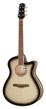 Ibanez AAM370M1CE-TPA