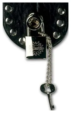 DiMarzio DD2100N