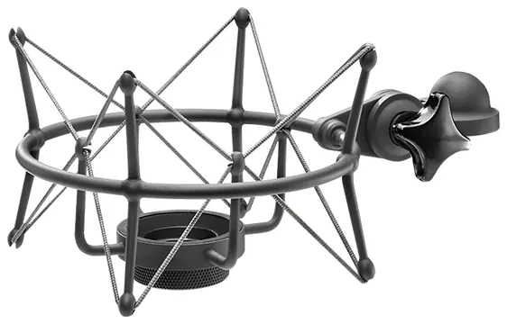 Neumann EA 1 mt