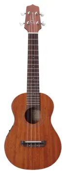 Takamine GUC1 Chitarra Acustica