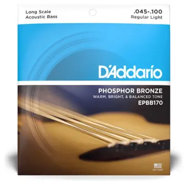 D ADDARIO EPBB170 Acoustic Bass 045-100