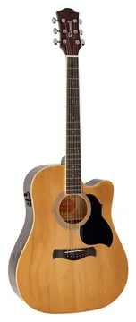 Richwood Artist Series RD-12-CE acoustic guitar